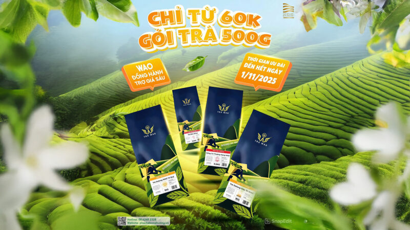 TRÀ WAO – ĐỒNG HÀNH CÙNG QUÁN, TRỢ GIÁ SÂU!